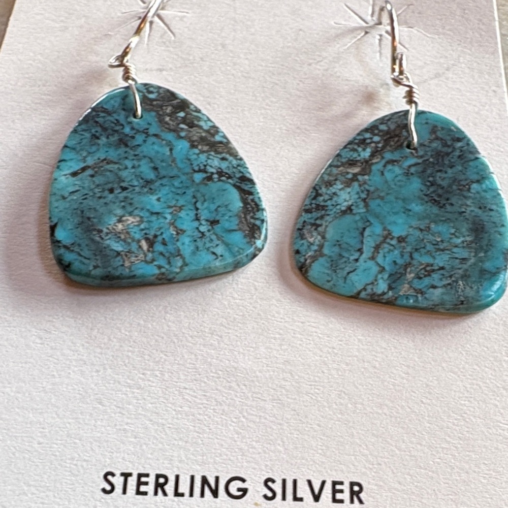 Turquoise Stone Drop Earrings - Blue-Green Semi-Precious Jewelry - Picture 3 of 5